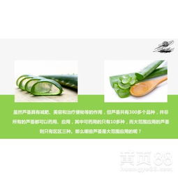 【广州戈蓝生物科技芦荟补水鲜汁嫩肤系列产品】-