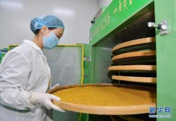 山东菏泽 牡丹花开产业红 图