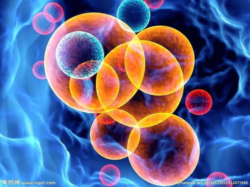 2016年全球生物技术综合竞争力评价之创新环境