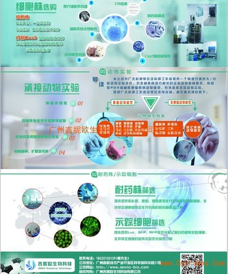 诱发性肿瘤动物模型 吉妮欧生物科技