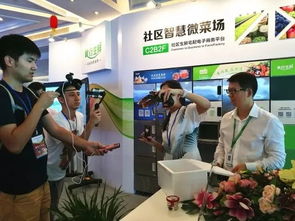 苏州松下生产科技新植物工厂蔬菜出货