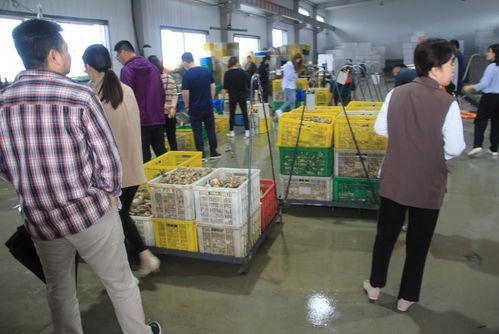 国家重点研发计划 蓝色粮仓科技创新 重点专项 重要水产养殖生物抗病和抗逆性状的遗传基础与调控机制 项目中期检查会在乳山召开