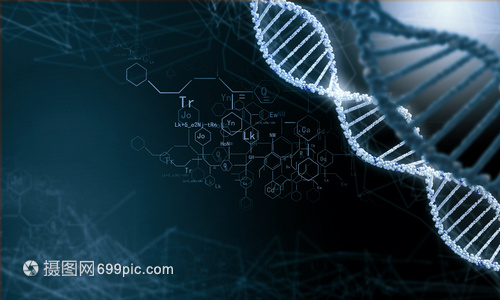 DNA分子高科技DNA分子的生物化学背景