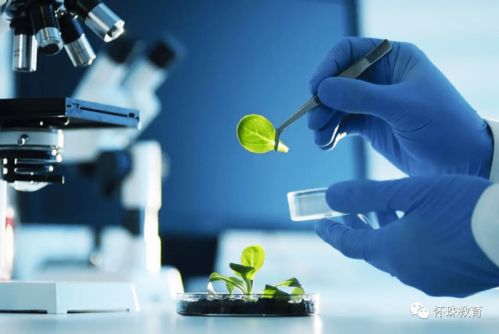 教育部统计数据 这8个专业的学生已经严重饱和, 报考千万要谨慎