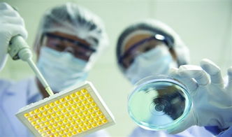 新坤生物科技 聚焦糖尿病潜伏期的体外诊断治疗