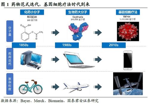 金斯瑞生物科技 赋能逻辑逐步兑现,细胞疗法进展顺利