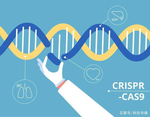 从基因层面 改造 人类 别让生物黑客称霸地球 科技书摘
