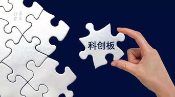 中小创 发展劲头足,湖北生物科技企业赢利能力强大
