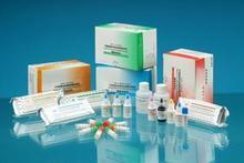 人N-乙酰-β-D-氨基葡萄糖苷酶(NAG) ELISA试剂盒免费技术指导 - 上海信帆生物科技