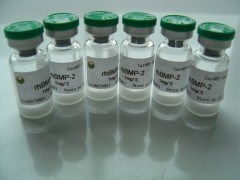 上海博华生物科技 创新驱动，引领生物科技未来