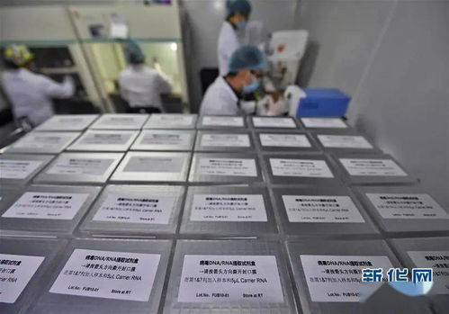 只有源头创新，才能突破医疗器械领域“掐脖子”问题——专访生物医学工程专家樊瑜波