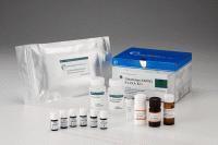 鸡17羟皮质类固醇(17-OHCS)ELISA试剂盒 上海研晶生物科技的精准检测解决方案